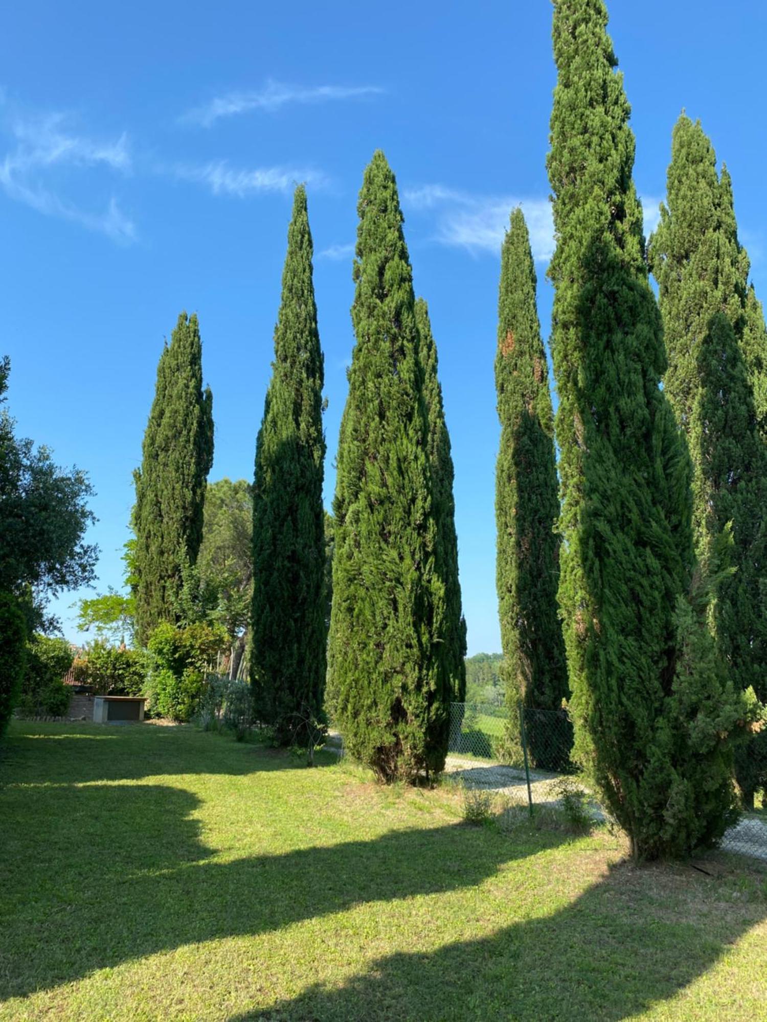 Villa Tre Colli - In The Heart Of Tuscany Certaldo Extérieur photo
