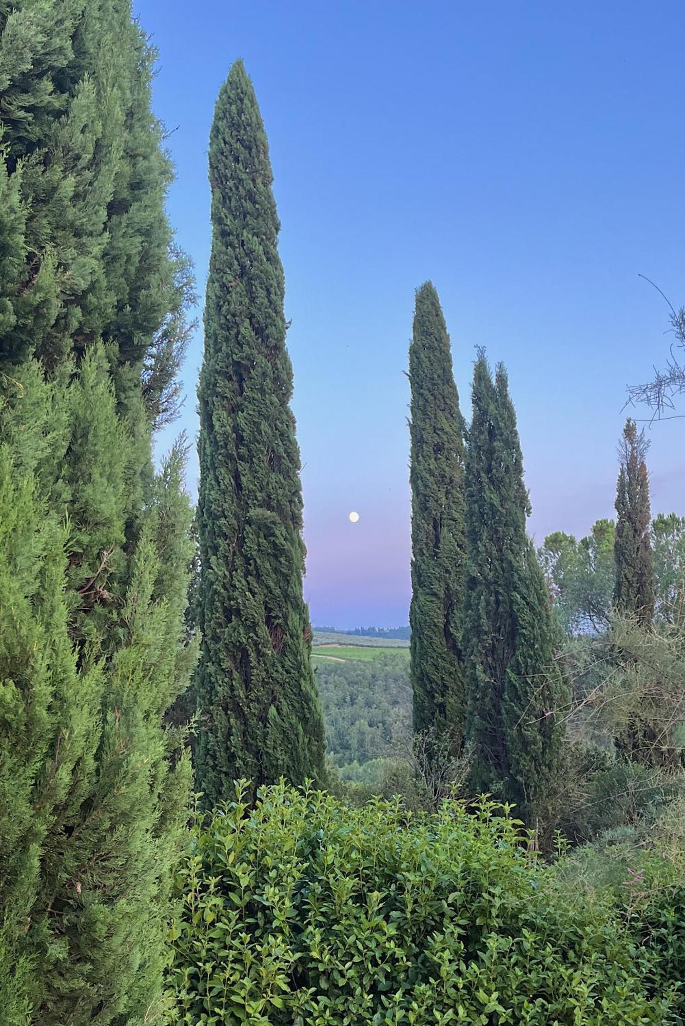 Villa Tre Colli - In The Heart Of Tuscany Certaldo Extérieur photo
